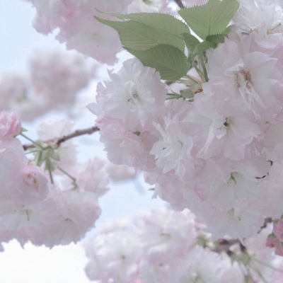 原创Furry角色设计FurryQQ群